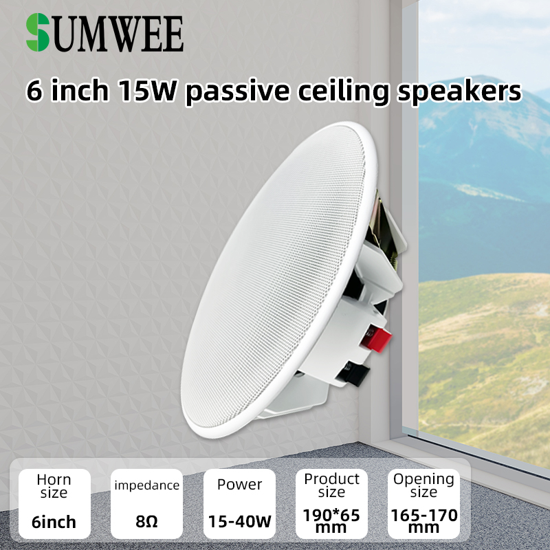 Altavoz de Techo de 6 Pulgadas - Audio Music Background Free reseña y precio