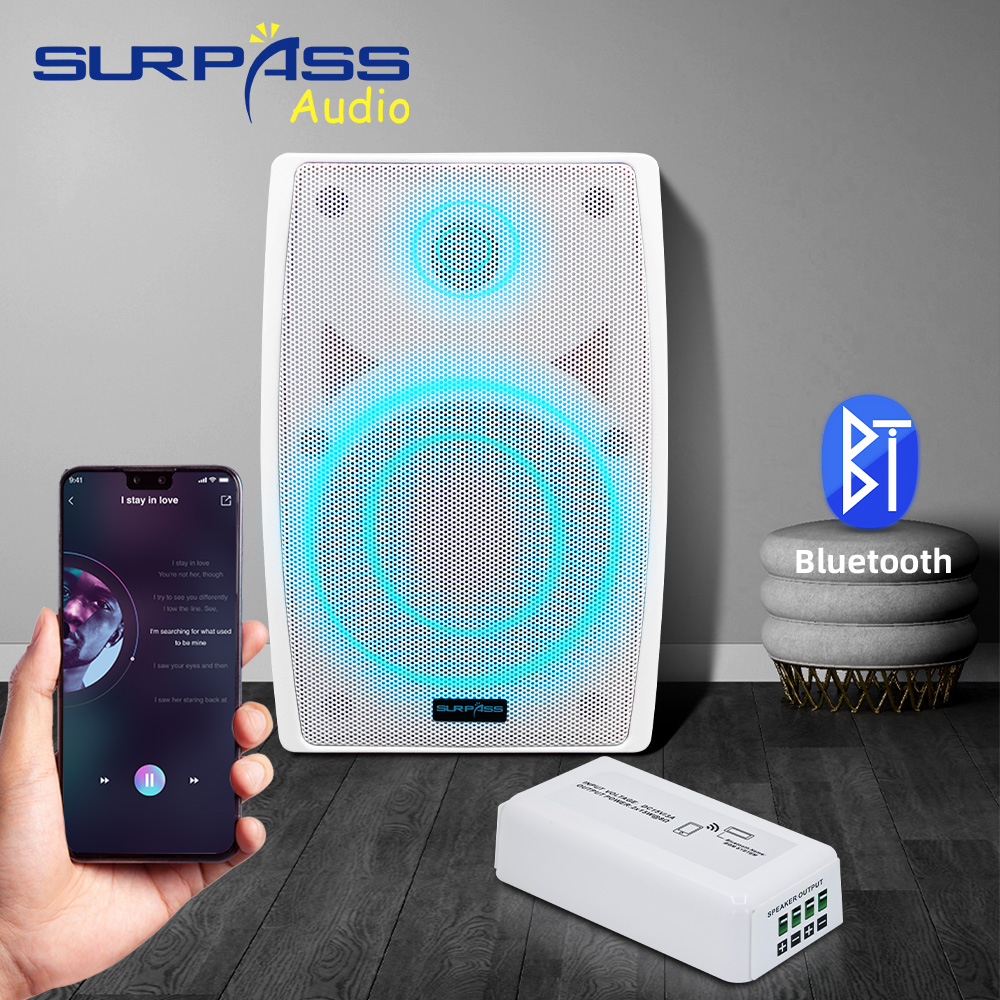 Mini amplificador de Audio Blu - Audio Music Store reseña y precio