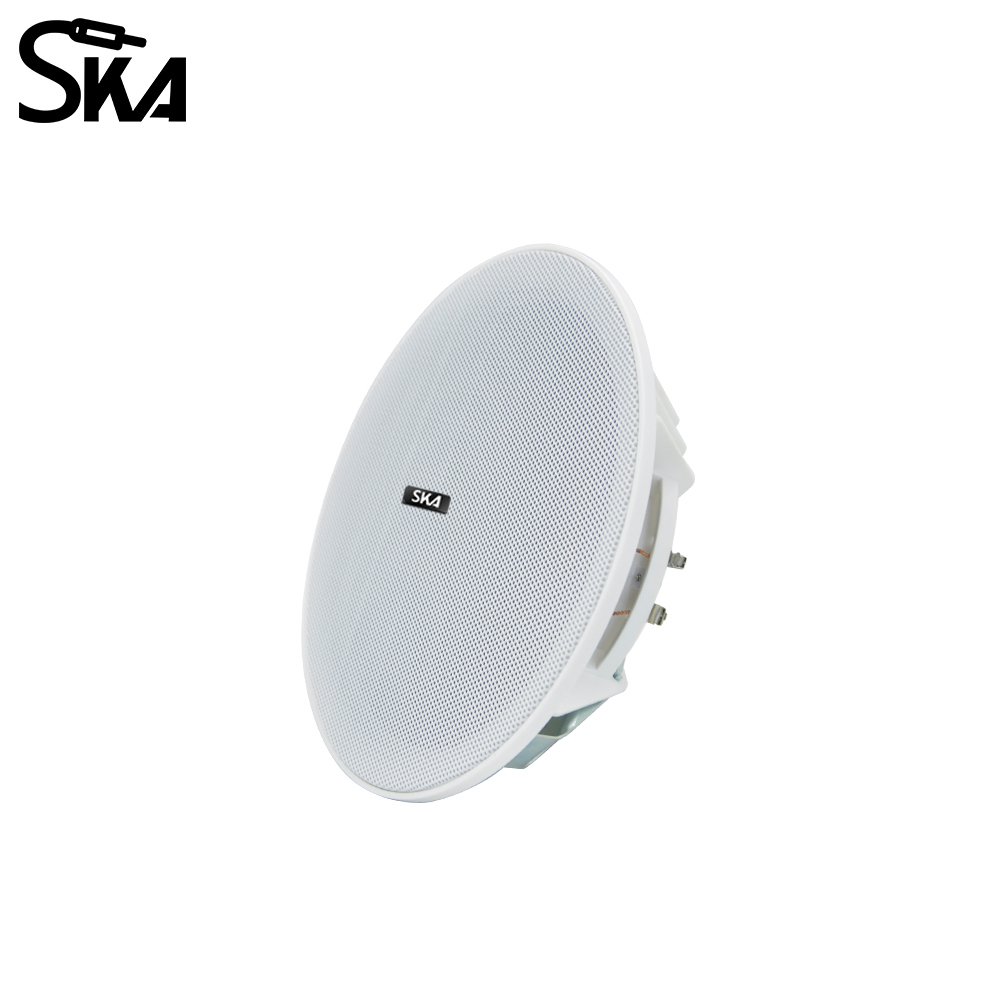 Altavoz de doble cono de 6,5 p - Audio Music Store reseña y precio
