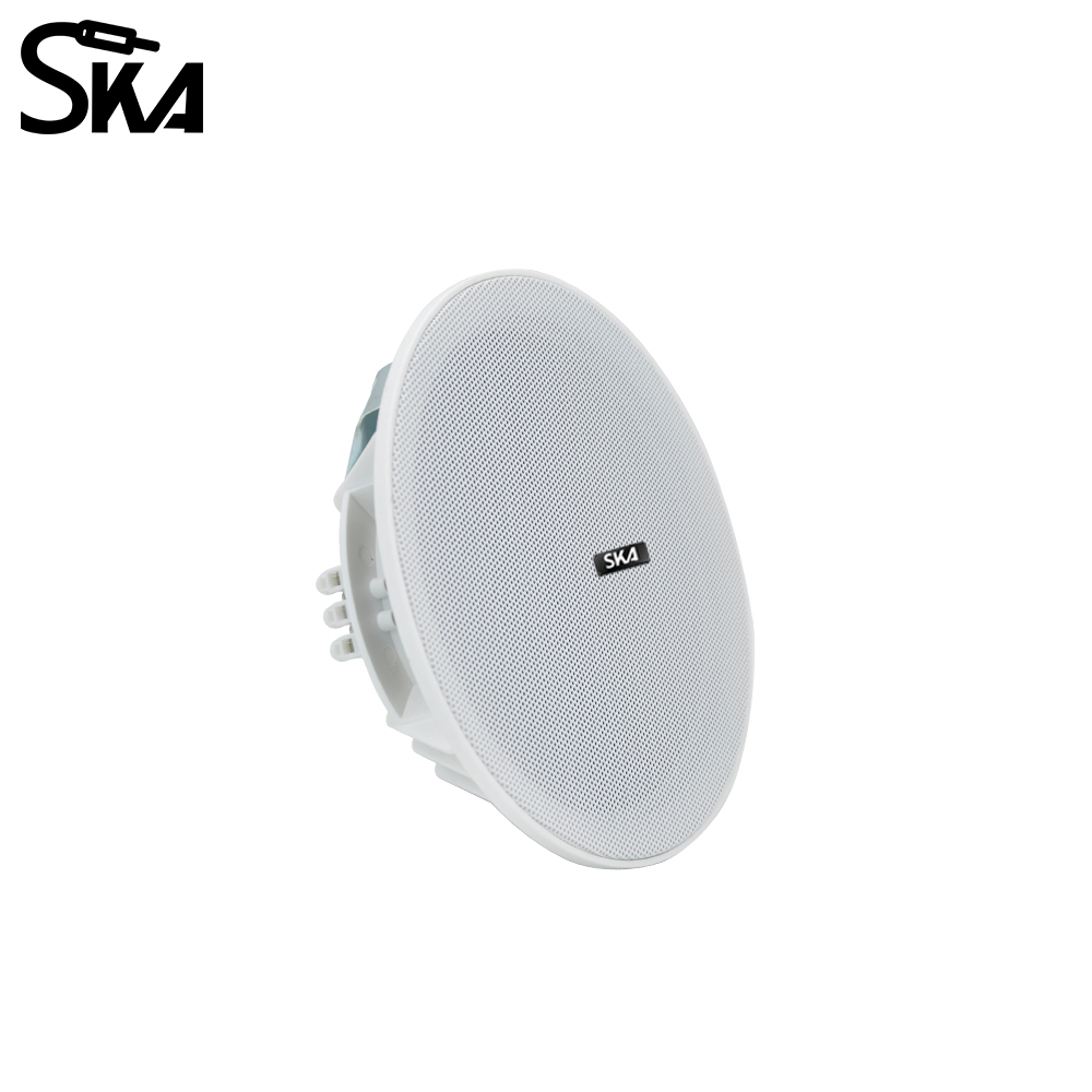 Altavoz de doble cono de 6,5 p - Audio Music Store reseña y precio