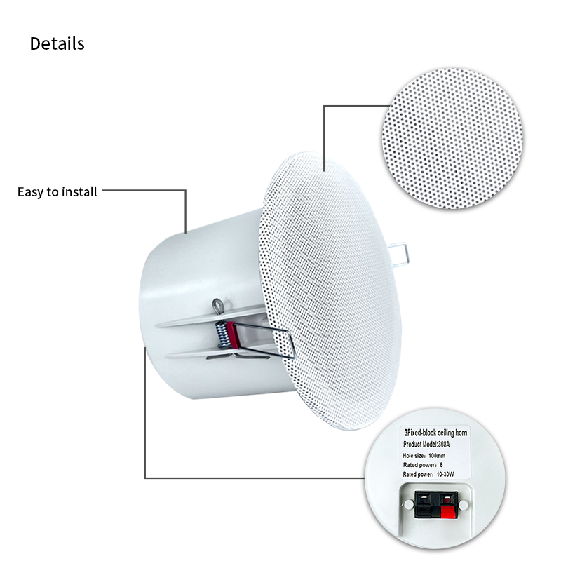 Altavoces de techo con sistema - Audio Music Background Free reseña y precio