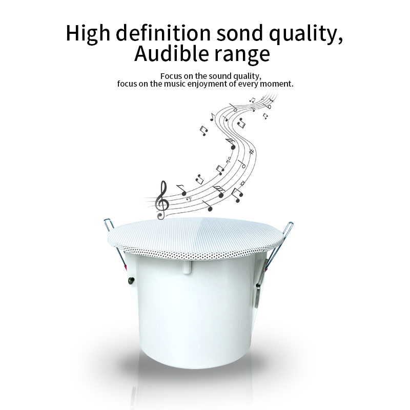 Altavoces de techo con sistema - Audio Music Background Free reseña y precio