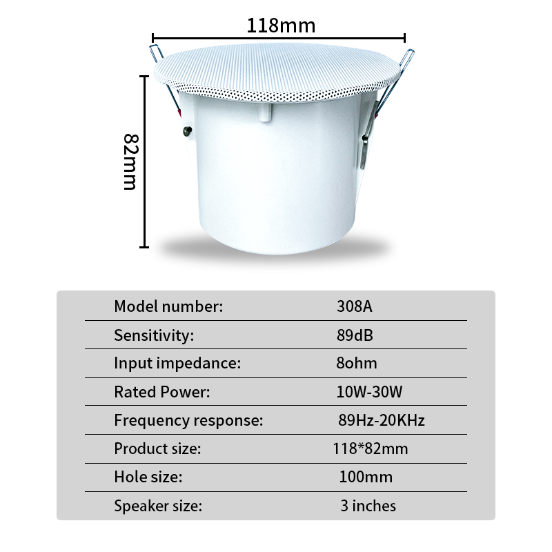 Altavoces de techo con sistema - Audio Music Background Free reseña y precio