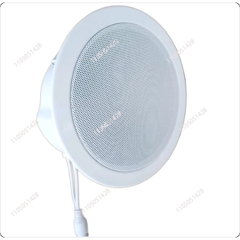 Altavoz de red IP, audio de te - Audio Music Store reseña y precio