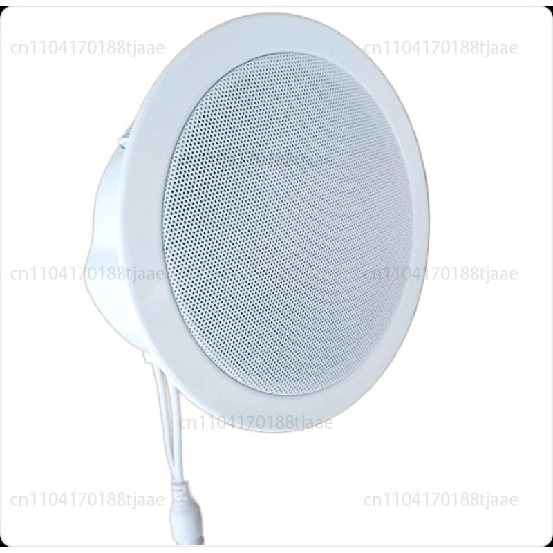 Altavoz de red IP, audio de te - Audio Music Store reseña y precio