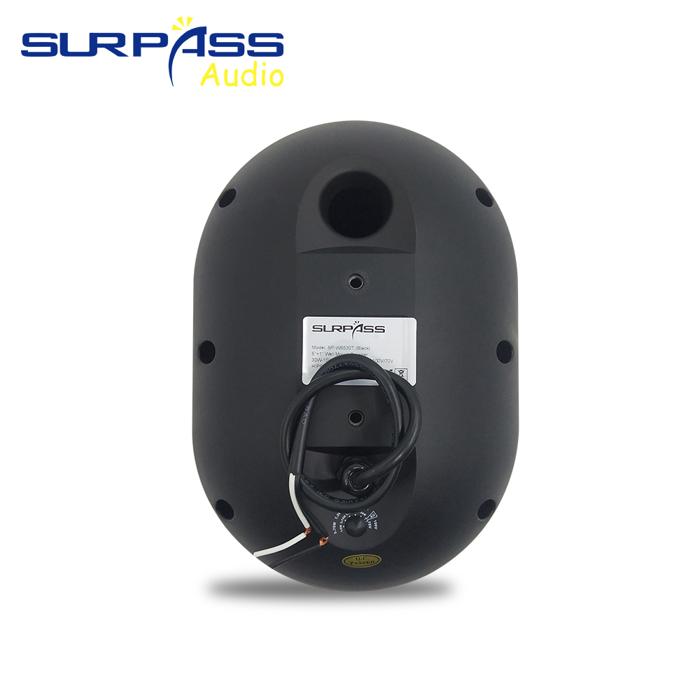 Altavoz de pared de 30W, resis - Audio Music Background Free reseña y precio