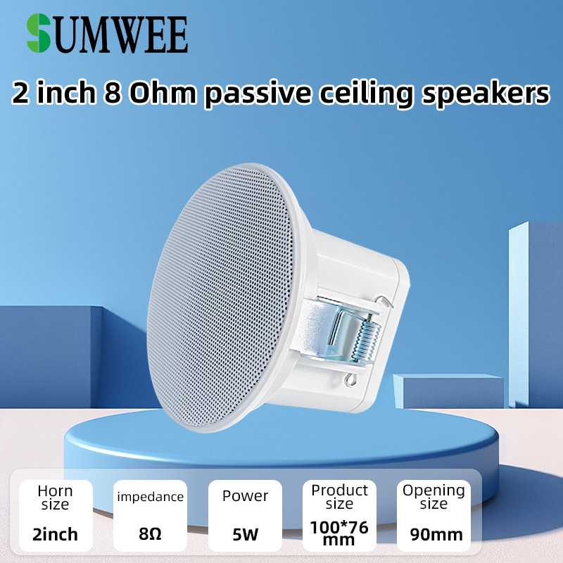 Mini Altavoz de Techo de 2 Pul - Audio Music Background Free reseña y precio
