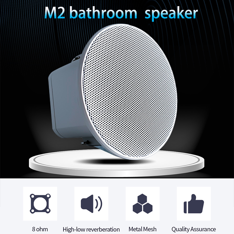 Mini Altavoz de Techo de 2 Pul - Audio Music Background Free reseña y precio